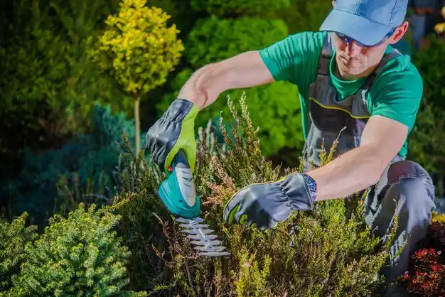 landscaping services Eaton Rapids
